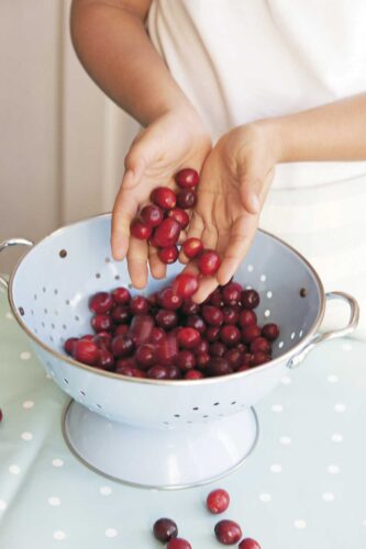 Top Antibacterial Herbs and Food for Preventing Infection